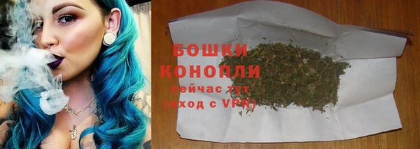 сатива Пересвет
