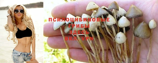 а пвп мука Баксан