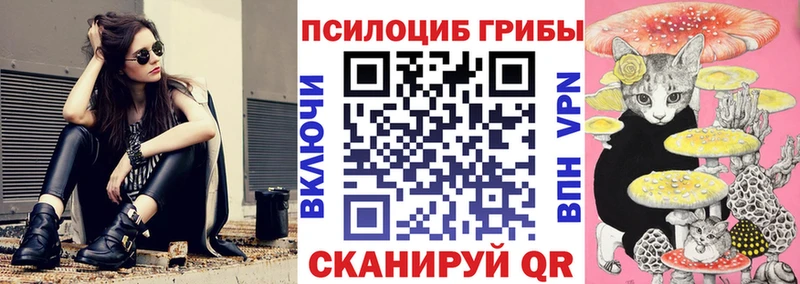 где купить наркоту  Мантурово  Псилоцибиновые грибы мицелий 